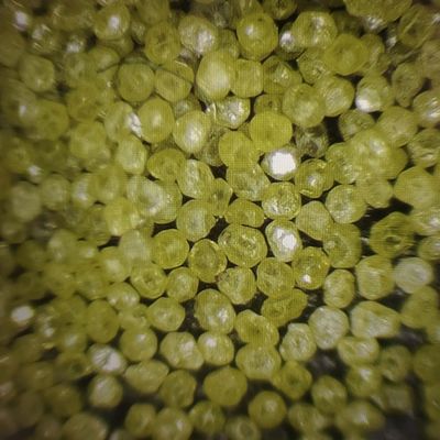 30/40 a 400/500 Grit industrial sintético Mbd Diamant Powder para fabricação de ferramentas de corte