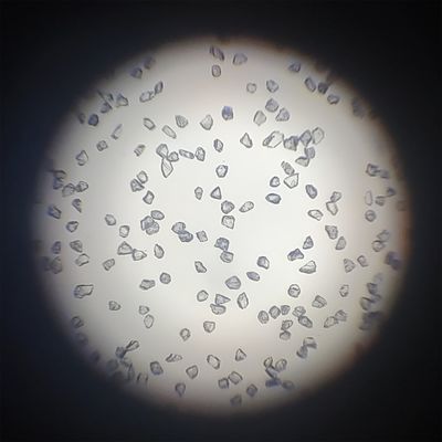 Xinrui, pó de diamantes sintéticos industriais para moagem de rodas, máquinas e eletrónica